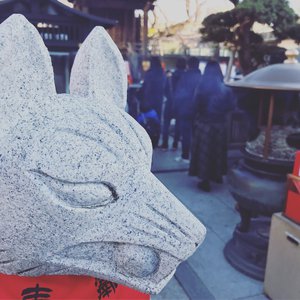 亚洲国产高清视频在线观看
